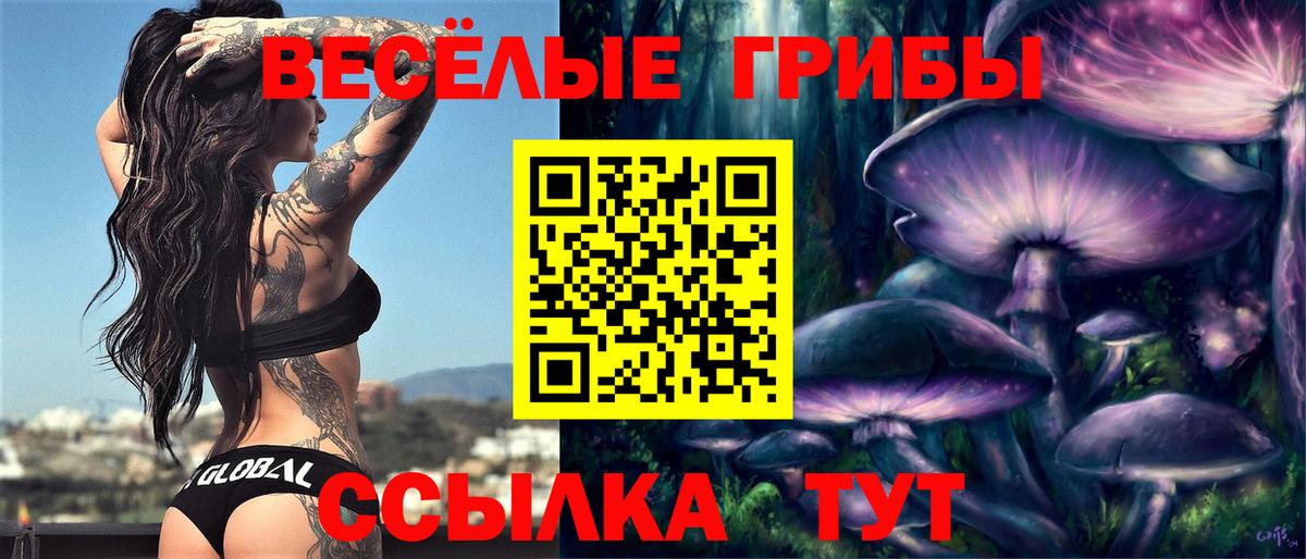 Псилоцибиновые грибы Psilocybine cubensis Обь