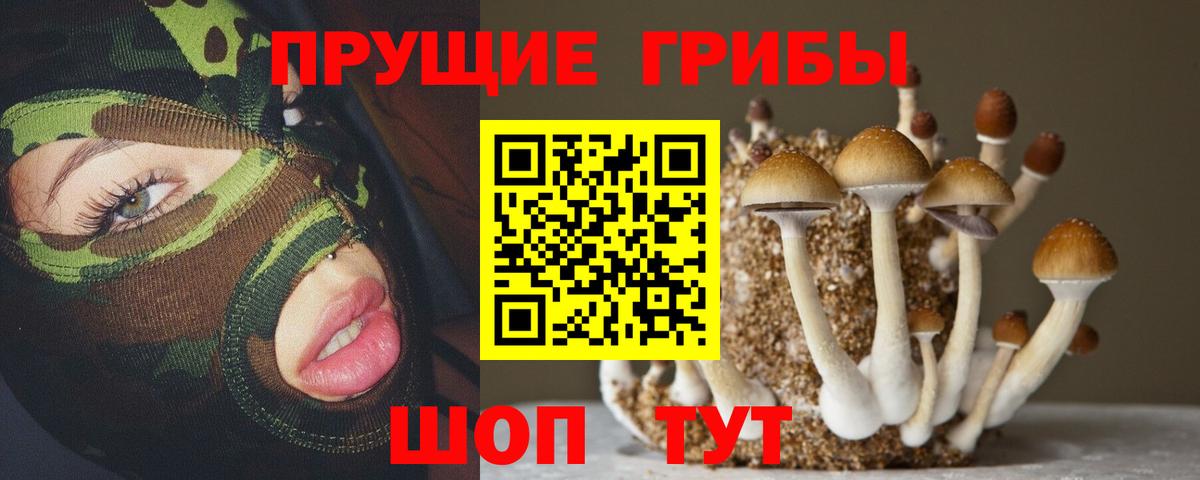 Галлюциногенные грибы Magic Shrooms  Вход с VPN  Галлюциногенные грибы Psilocybine cubensis  Обь 
